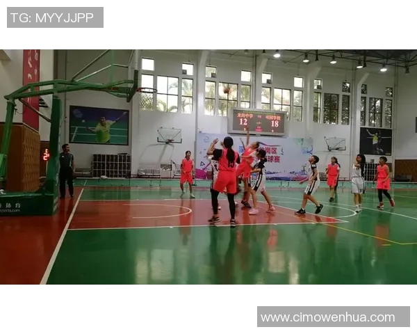 深圳篮球队心理素质排名第一最新篮球心理素质TOP10揭晓