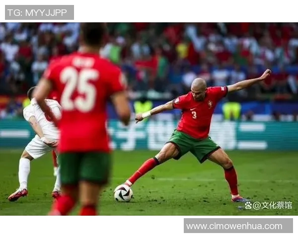 奥地利足球明星风采大揭秘他们如何在绿茵场上书写传奇 奥地利足球明星风采大揭秘他们如何在绿茵场上书写传奇