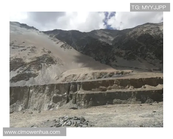 新球王崛起足球明星的荣耀与挑战之路 新球王崛起足球明星的荣耀与挑战之路