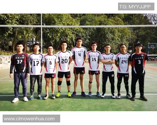 武汉排球队实力对比深度解析及未来发展趋势探讨