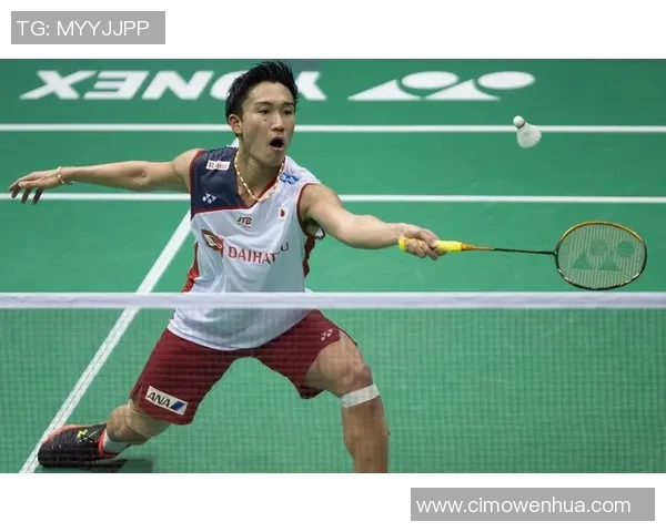 深圳羽毛球队在世锦赛积分榜上以72分稳居第一名展现强劲实力