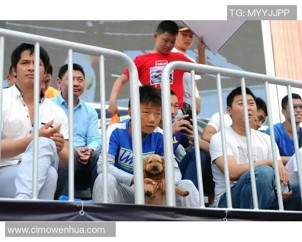 深度对话：杨娜如何在篮球世界中追寻梦想与挑战自我