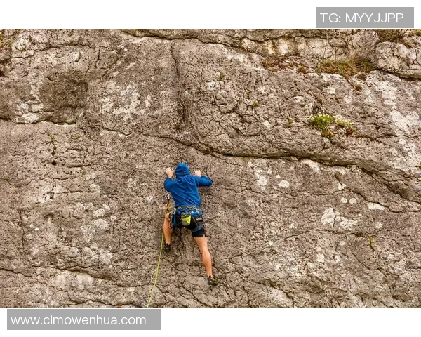 深圳攀岩队的逆袭之路：探索攀岩深度与团队精神的完美结合