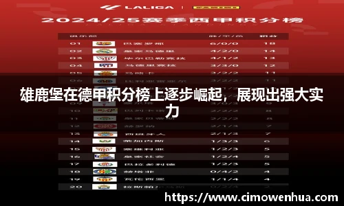 雄鹿堡在德甲积分榜上逐步崛起，展现出强大实力